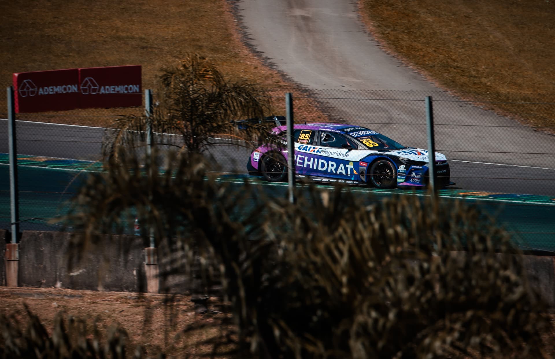 Rehidrat stock car framed through trackside vegetation