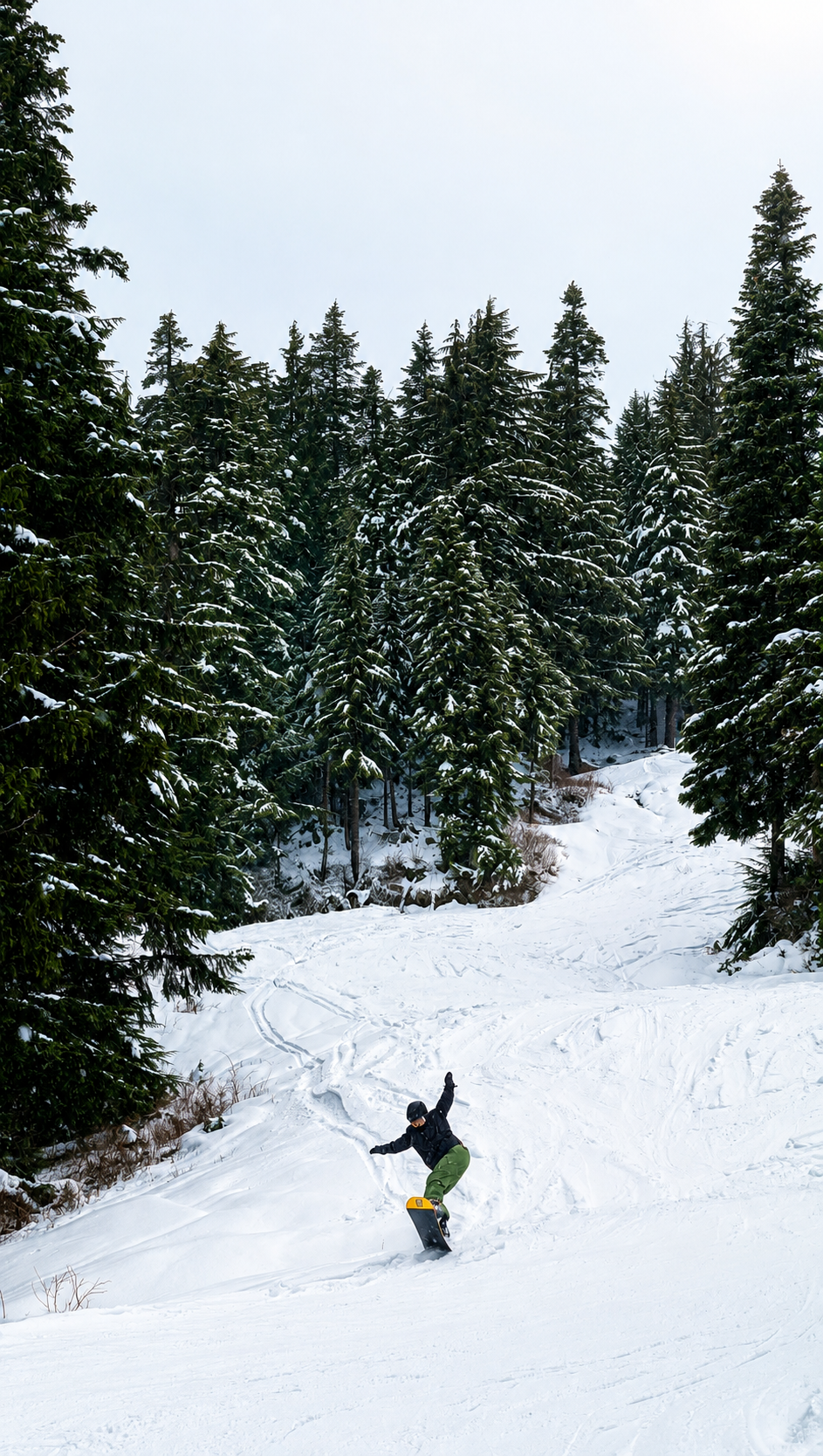 Snowboarder riding down a tree-lined run through the forest