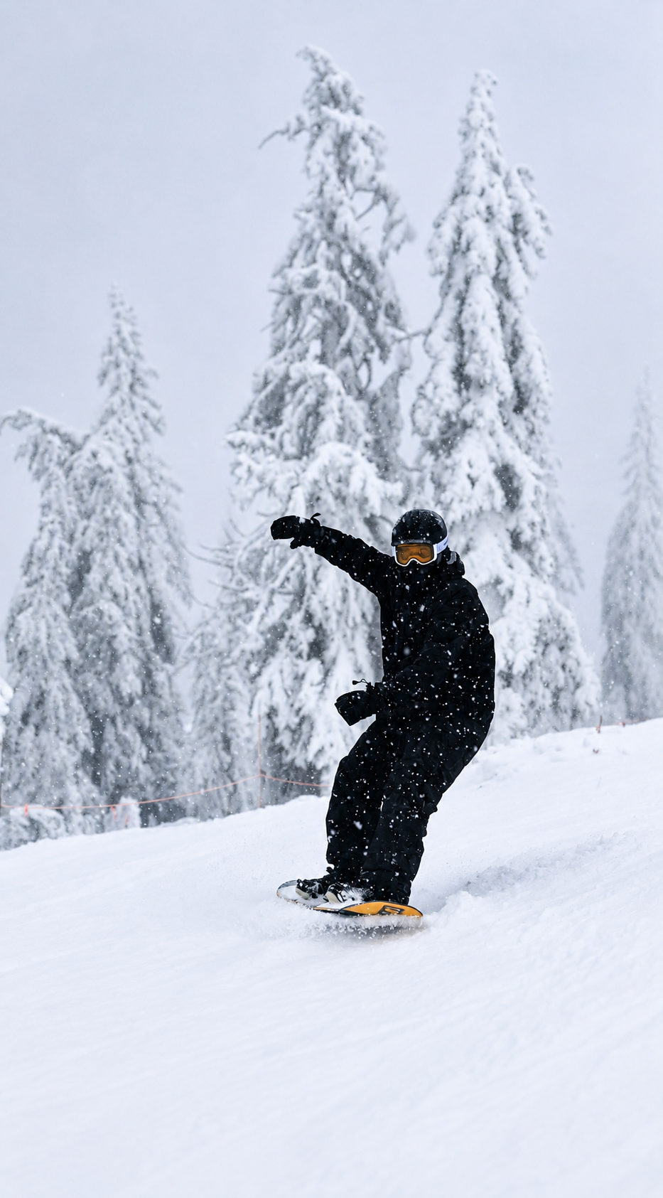 Snowboarder carving through falling snow beside frosted pines